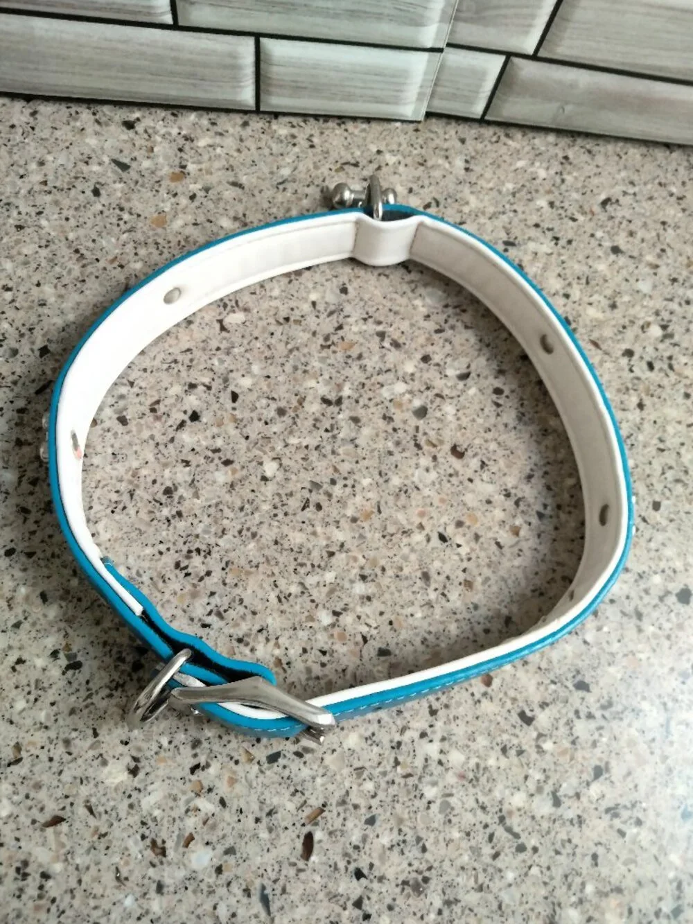 Blue, White & Chrome Leather Dog Collar 26